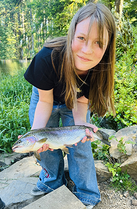 Rainbow trout
