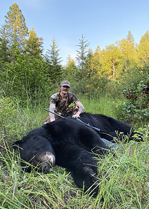 Black bear